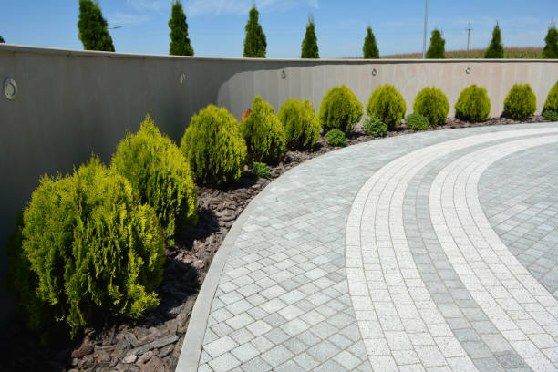 Reasons to Select Us for Your Driveway Paving Requirements in Dillon, MT